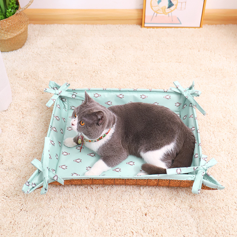 2-in-1 Easy-Clean Mat for Cats & Pets