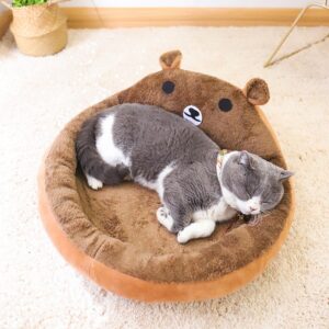 Open Bear Cat Bed for Cats & Pets