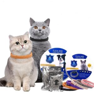 Collar for Cats & Dogs