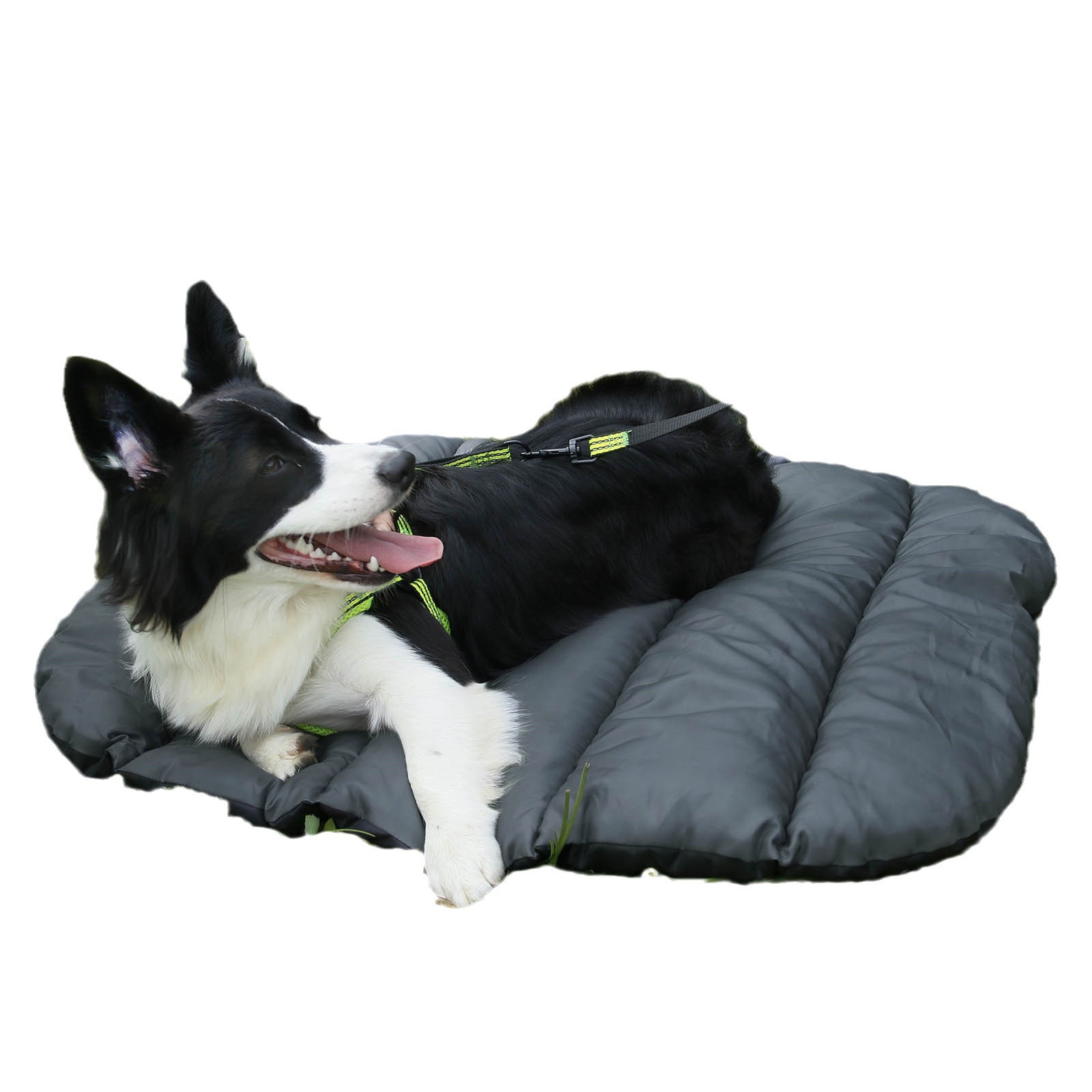 Foldable Outdoor Pet Bed Orange Gray Small Large - Image 5
