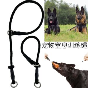 Pet Choke Training Rope Nylon Dog Leash