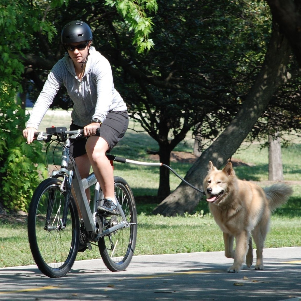 Bicycle Dog Leash With Metal Rod And Elastic Buffer - Image 2