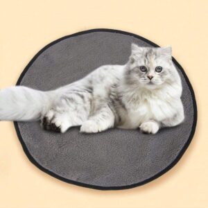 Double-Sided Mat for Cats & Pets