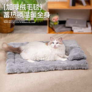 Pet Blanket Winter Warm Cat Quilt With Pillow