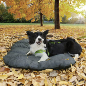 Foldable Outdoor Pet Bed Orange Gray Small Large