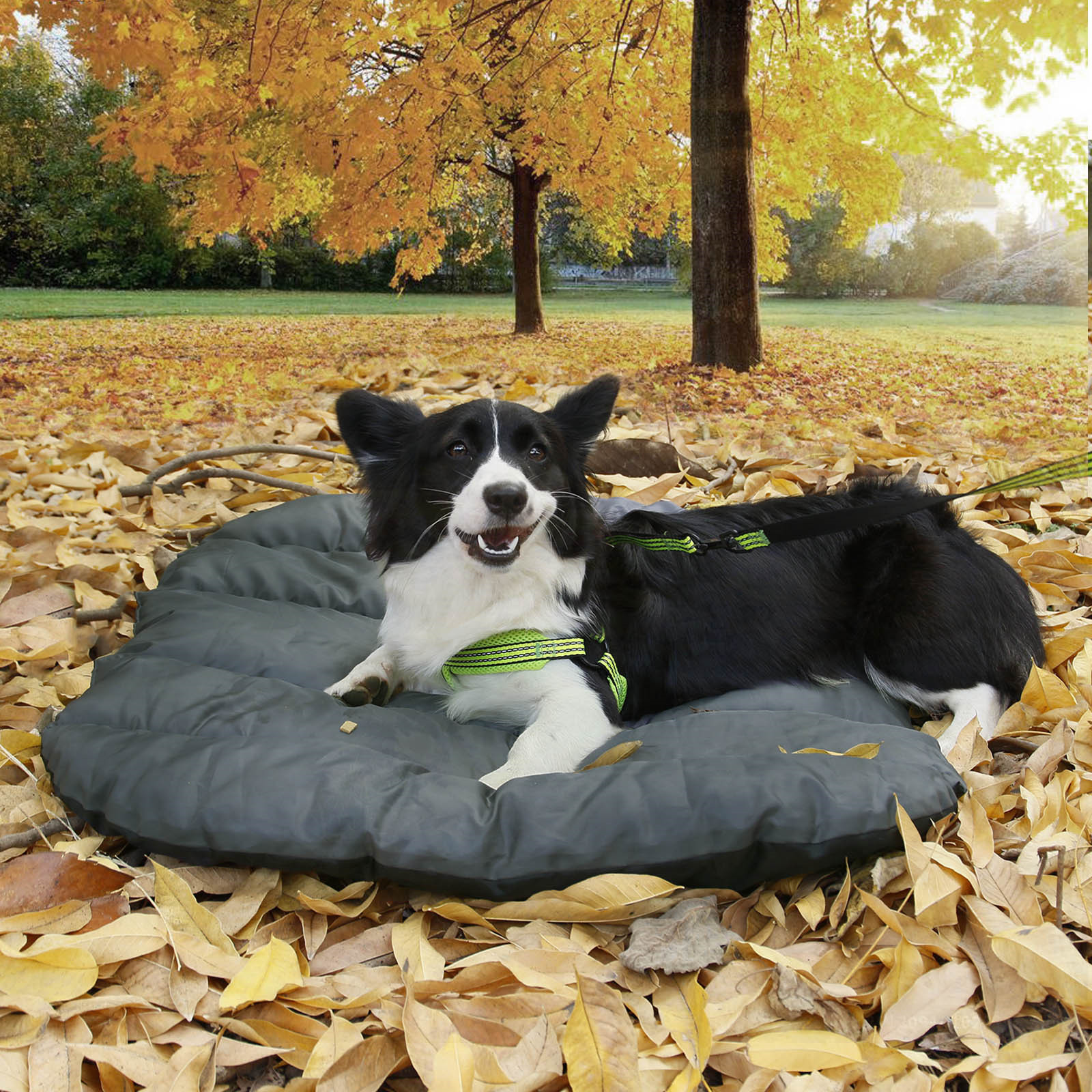 Foldable Outdoor Pet Bed Orange Gray Small Large