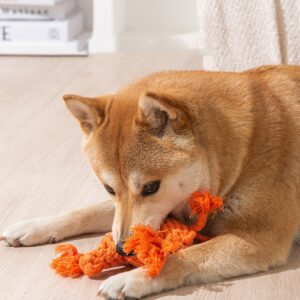 Pet Bed for Pets & Dogs