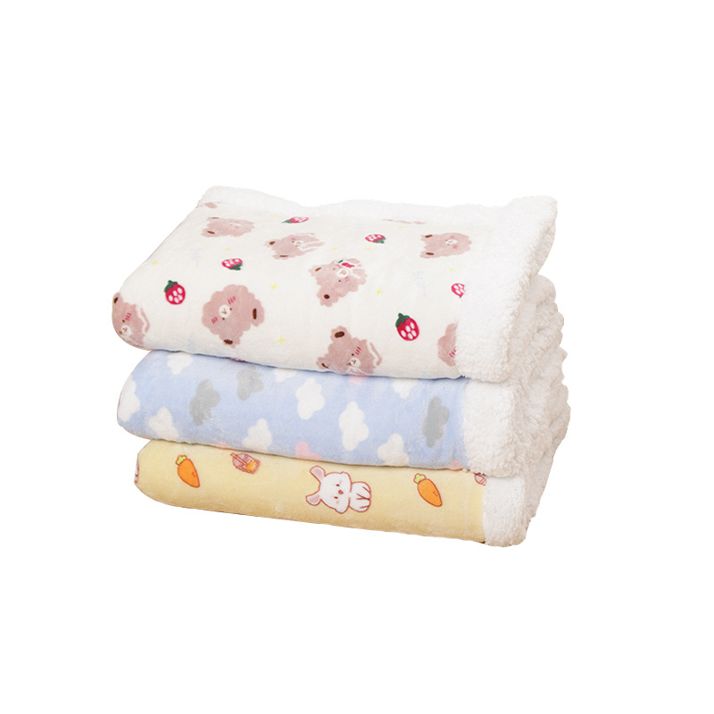 Thick Warm Double-Sided Flannel Pet Mat Blanket - Image 5