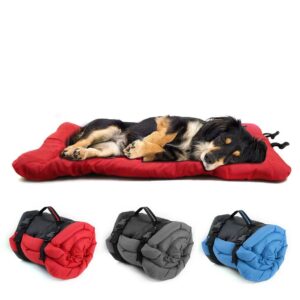 Portable Waterproof Foldable Pet Cot Dog Bed Blue Large