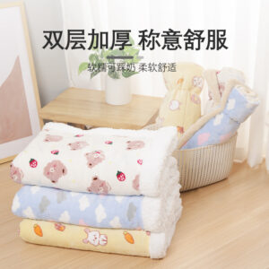 Thick Warm Double-Sided Flannel Pet Mat Blanket