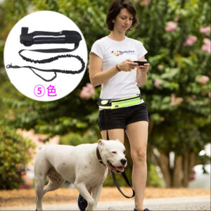 Reflective Dog Leash Waist Bag Set