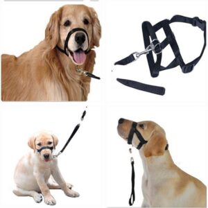 Anti-Pull Dog Training Muzzle Leash With Adjustable Straps