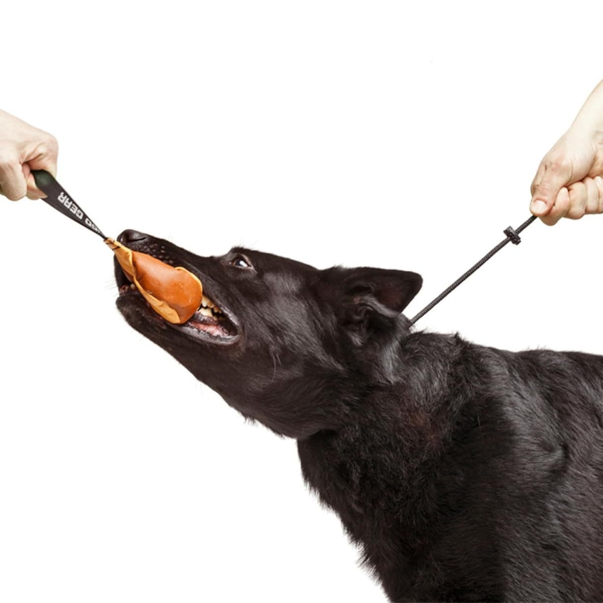 Pet Choke Training Rope Nylon Dog Leash - Image 5