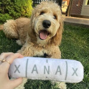 Plush Squeaky Pet Dog Relaxing Chew Toy