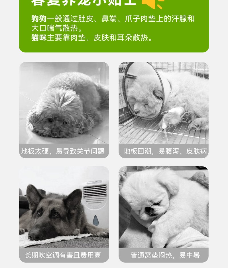 L-Shaped Bolster Dog Sofa Bed #1021
