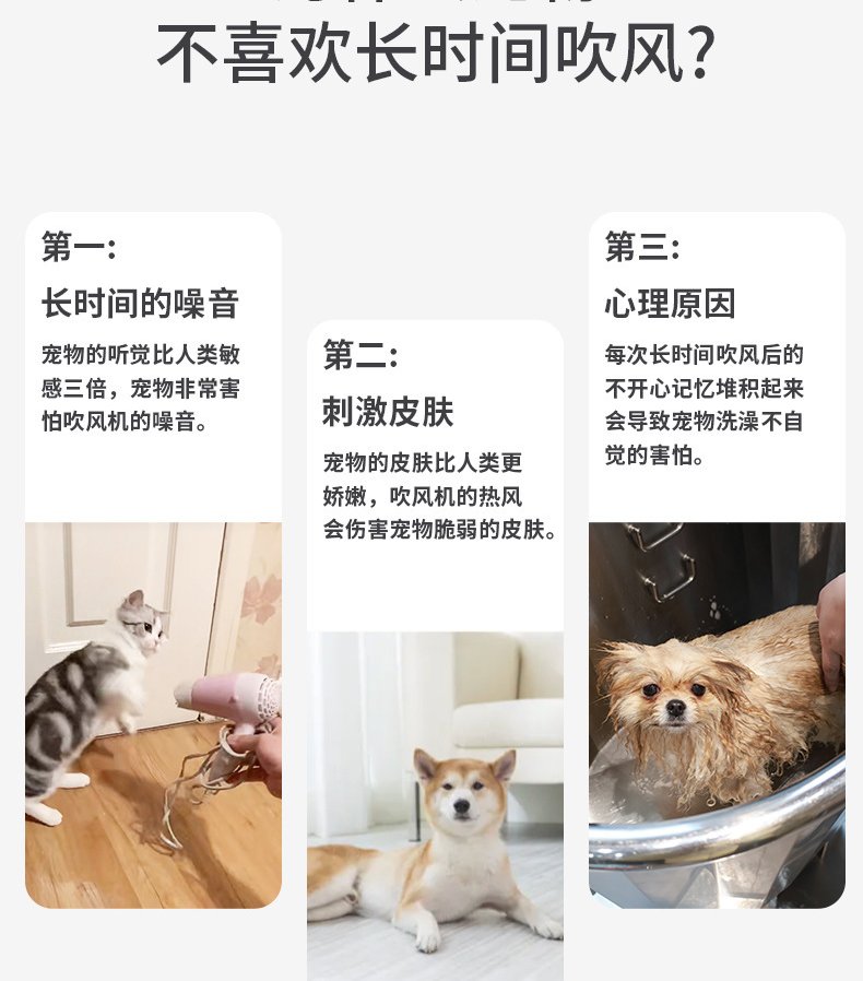 Pet Product #470